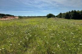 ISTRA, BARBAN - Građevinsko zemljište za gradnju kompleksa vila! PRILKA ZA INVESTICIJU!, Barban, Zemljište