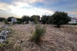 Prodajemo građevinsko zemljište u Pavićinima, Istra, Marčana, Land