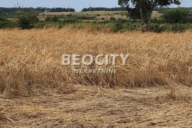 Čukarica, Sremčica, Bicin potok, 100a, Čukarica, Terrain