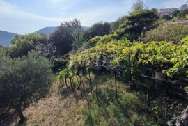 Bribir kuća, Vinodolska Općina, بيت