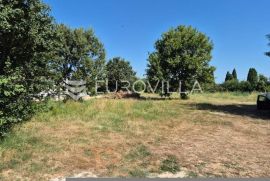 Istra, Šišan, građevinsko zemljište  za više stambenu gradnju od 681 m2, Ližnjan, Arazi