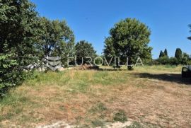 Istra, Šišan, građevinsko zemljište  za više stambenu gradnju od 681 m2, Ližnjan, Arazi