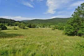 ISTRA, LANIŠĆE - Kamena kuća i gospodarska zgrada, Lanišće, Casa