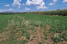 OTOČAC - Kapelska ulica, građevinsko i poljoprivredno zemljište, Otočac, Arazi