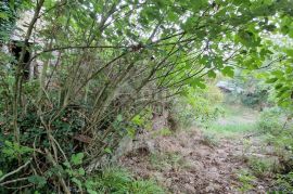 ISTRA, GRAČIŠĆE - Kompleks zemljišta s objektima i prekrasnim pogledom, Gračišće, Terrain