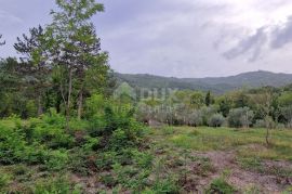 ISTRA, GRAČIŠĆE - Kompleks zemljišta s objektima i prekrasnim pogledom, Gračišće, Terrain