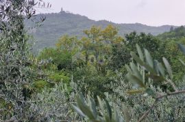 ISTRA, GRAČIŠĆE - Kompleks zemljišta s objektima i prekrasnim pogledom, Gračišće, Zemljište