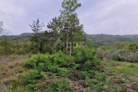 ISTRA, GRAČIŠĆE - Kompleks zemljišta s objektima i prekrasnim pogledom, Gračišće, Земля