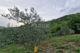 ISTRA, GRAČIŠĆE - Kompleks zemljišta s objektima i prekrasnim pogledom, Gračišće, Terrain