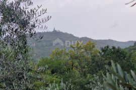 ISTRA, GRAČIŠĆE - Kompleks zemljišta s objektima i prekrasnim pogledom, Gračišće, Terrain