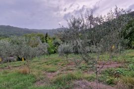 ISTRA, GRAČIŠĆE - Kompleks zemljišta s objektima i prekrasnim pogledom, Gračišće, Γη