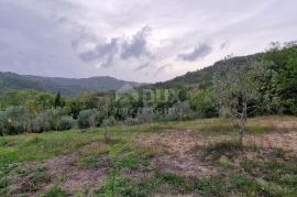 ISTRA, GRAČIŠĆE - Kompleks zemljišta s objektima i prekrasnim pogledom, Gračišće, Terrain