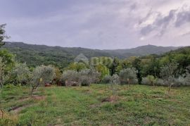 ISTRA, GRAČIŠĆE - Kompleks zemljišta s objektima i prekrasnim pogledom, Gračišće, Terrain