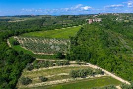 KAMENA VILLA S OTVORENIM POGLEDOM NA MORE I PRIRODU!, Buje, Kuća