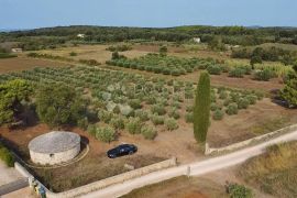 ZEMLJIŠTE S GRAĐEVINSKOM DOZVOLOM 800 METARA OD PLAŽE, Rovinj, Land