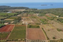 ZEMLJIŠTE S GRAĐEVINSKOM DOZVOLOM 800 METARA OD PLAŽE, Rovinj, Land