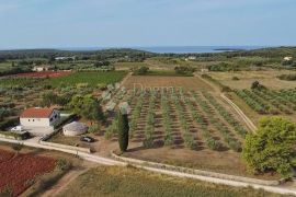 ZEMLJIŠTE S GRAĐEVINSKOM DOZVOLOM 800 METARA OD PLAŽE, Rovinj, Land