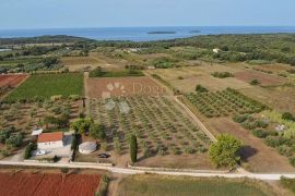 ZEMLJIŠTE S GRAĐEVINSKOM DOZVOLOM 800 METARA OD PLAŽE, Rovinj, Terrain