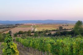 KUTJEVO - BAJKOVITO IMANJE VELIKOG POTENCIJALA, Kutjevo, Land