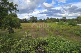 ISTRA, KANFANAR - Građevinsko zemljište na rubu manjeg naselja, Kanfanar, Land