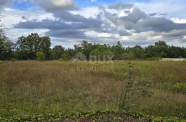 ISTRA, KANFANAR - Građevinsko zemljište na rubu manjeg naselja, Kanfanar, Land