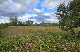 ISTRA, KANFANAR - Građevinsko zemljište na rubu manjeg naselja, Kanfanar, Land