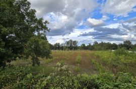 ISTRA, KANFANAR - Građevinsko zemljište na rubu manjeg naselja, Kanfanar, Terrain