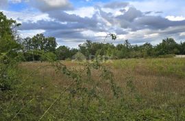 ISTRA, KANFANAR - Građevinsko zemljište na rubu manjeg naselja, Kanfanar, Terra