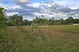 ISTRA, KANFANAR - Građevinsko zemljište na rubu manjeg naselja, Kanfanar, Terreno