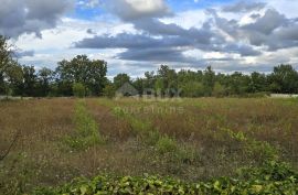 ISTRA, KANFANAR - Građevinsko zemljište na rubu manjeg naselja, Kanfanar, Land