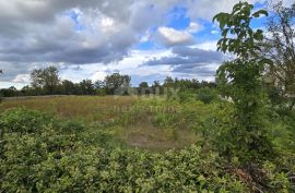 ISTRA, KANFANAR - Građevinsko zemljište na rubu manjeg naselja, Kanfanar, Land