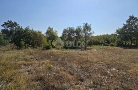 ISTRA, SVETVINČENAT - Građevinsko zemljište na rubu građevinske zone, Svetvinčenat, Land