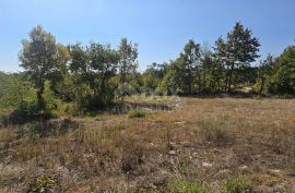 ISTRA, SVETVINČENAT - Građevinsko zemljište na rubu građevinske zone, Svetvinčenat, Land