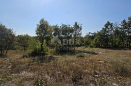 ISTRA, SVETVINČENAT - Građevinsko zemljište na rubu građevinske zone, Svetvinčenat, Land