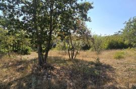 ISTRA, SVETVINČENAT - Građevinsko zemljište na rubu građevinske zone, Svetvinčenat, Land