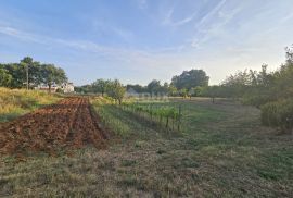 ISTRA, ŽMINJ - Prostrano građevinsko zemljište na mirnoj lokaciji savršeno za vile/kuće za odmor/obiteljske kuće, Žminj, Terrain