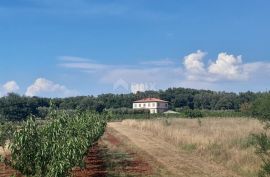 ISTRA, UMAG - Neponovljiva privatna stancija smještena u prirodnoj oazi, Umag, House