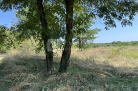 Povoljno Istra Pazin građevinsko zemljište 1900 m2!, Pazin - Okolica, Land