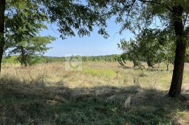 Povoljno Istra Pazin građevinsko zemljište 1900 m2!, Pazin - Okolica, Land