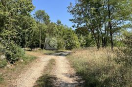 Povoljno Istra Pazin građevinsko zemljište 1900 m2!, Pazin - Okolica, Land