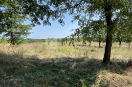 Povoljno Istra Pazin građevinsko zemljište 1900 m2!, Pazin - Okolica, Land