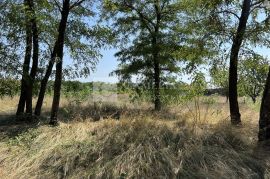 Povoljno Istra Pazin građevinsko zemljište 1900 m2!, Pazin - Okolica, Zemljište