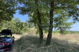 Povoljno Istra Pazin građevinsko zemljište 1900 m2!, Pazin - Okolica, Terreno