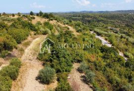 Istra, Buje - prostrano građevinsko zemljište na atraktivnoj lokaciji, Buje, Arazi