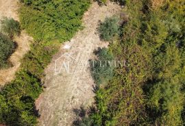 Istra, Buje - prostrano građevinsko zemljište na atraktivnoj lokaciji, Buje, Land