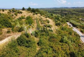 Istra, Buje - prostrano građevinsko zemljište na atraktivnoj lokaciji, Buje, Terreno