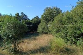 Građevinsko zemljište Građevinsko zemljište na atraktivnoj lokaciji 1 km od mora., Vodnjan, Land