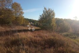 Prekrasni vinograd u središnjoj Istri, Gračišće, Terrain