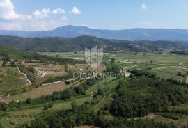 Pićan, okolica, prostrano građevinsko zemljište na lijepoj lokaciji, Pićan, Land