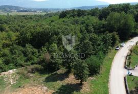 Pićan, okolica, prostrano građevinsko zemljište na lijepoj lokaciji, Pićan, Land